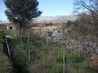 cantara piccole gole19022012 086